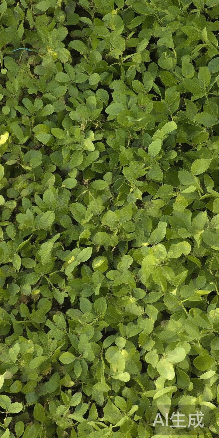 在当今社会体育不断融合发展，促使各地区积极探索适合